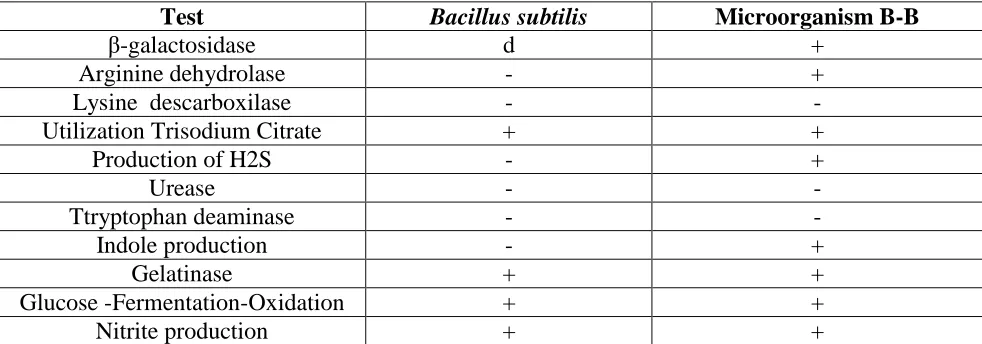 Figure 1. Optical Microscopic pictures of three microorganisms present in the biocorrosion consortium: (a) Bacillus toyonensis, (b) Bacillus not previously described (B-B) and (c) Staphyloccocus aureus