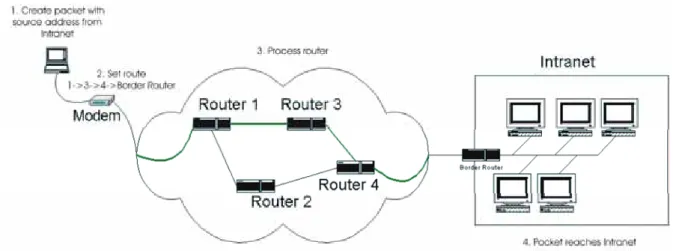 Figure 3: Source Routing 