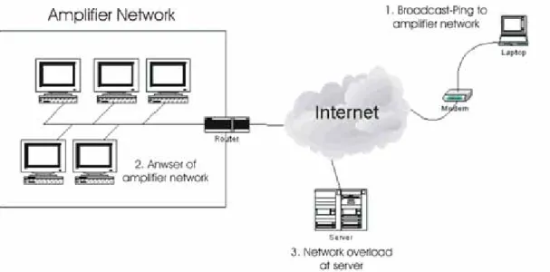 Figure 4: Amplifier Network 
