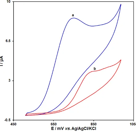 Figure 2  Cyclic voltammograms of (a) La3+/ZnO/SPE and (b) bare SPE in 0.1 M PBS (pH 7.0) in the presence of 400.0 μM hydrochlorothiazide at the scan rate 50 mVs-1
