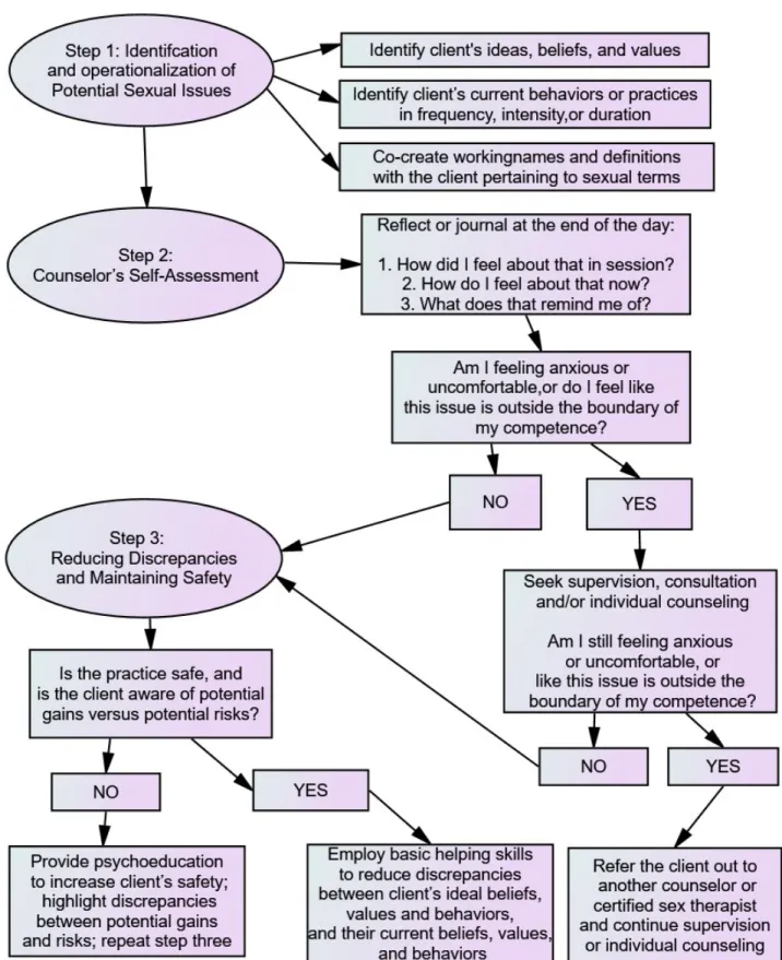 Figure 1. Sexual Values and Behaviors Discrepancy Model