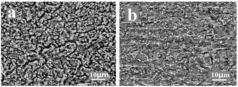 Figure 7. Corrosion morphologies after running potentiodynamic polarization test (a) S2 and (b) S4 cladding layer  