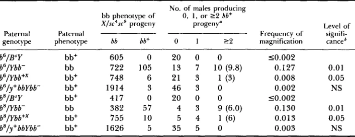 TABLE 1 bb and bb+ derivatives of Ybb- induce magnijcation 