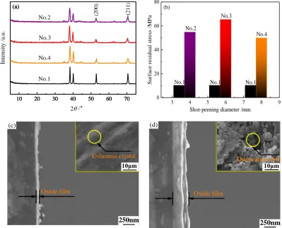 Figure 1. Surface characteristics of shot peening specimens of different diameters: XRD pattern (a), residual stress (b), surface morphology and the cross-section of anodic oxide film of Nos.1 (c) and 3 (d)