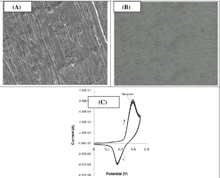 Figure 2.  SEM micrographs with magnification 1000x of the surface of a pure nickel (A); nickel plating on copper (NPCE) (B) and (C) cyclic voltammogram with 10 cycles using NPCE electrode in 0.1 M NaOH 5 mL with scan rate 100 mVs-1 