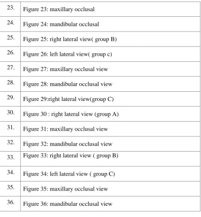 Figure 23: maxillary occlusal