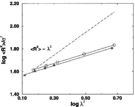 FIG. 5. Simulation results for the mean-squared end-to-end distance of thenetwork chains, �R2� versus the squared macroscopic deformation ratio, �2,for the 20-mer network chains, at P*�0.5 �stars� and P*�1.0 �circles�