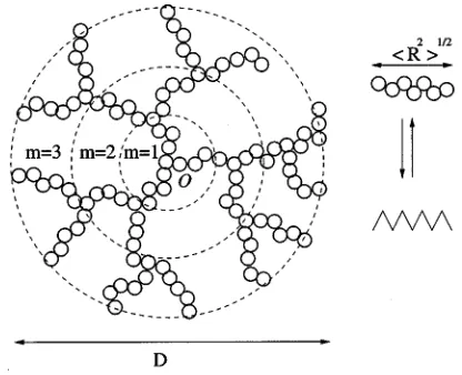 FIG. 1. Model of a single dendrimer in a network.