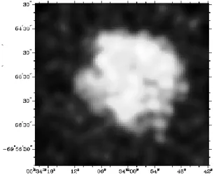 Figure 2.3: ROSAT image of SNR 0534-69.9 (from Williams et al., 1999).