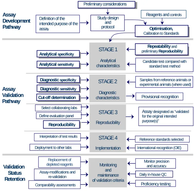 Figure 1. The assay development and validation pathways with assay validation criteria   highlighted in bold typescript within shadowed boxes