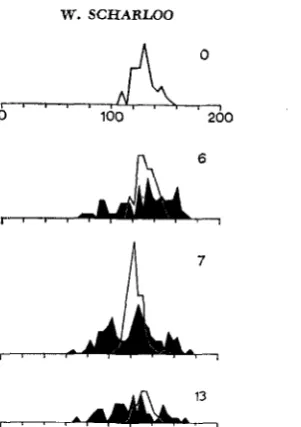 FIGURE 3.-Frequency distributions of females in the base population and and the seIection lines in (80 females measured), G6 (in both lines 80 females measured), G7 (1 00 females in each line), G13 (disruptive line 60 females, stabilizing line 30 females)