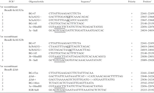 TABLE 1. Oligonucleotides used for PCR mutagenesis