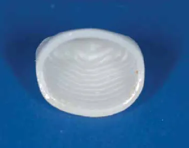 Figure 2.  The sharp preparation (left) and the round preparation (right)