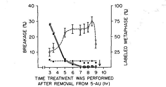 FIGURE 1.-The relation bstween frequency of aberrations and time of cell cycle the treatment was given is shown here