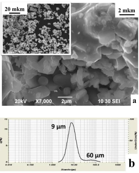 Figure 3.SEM image procedure 