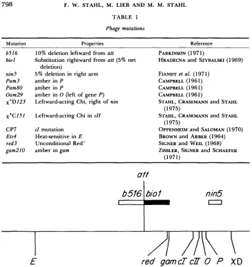 TABLE 1 Phage mutations 