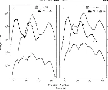 FIGURE 4.-Intragenic crosses to DNA replication was blocked. Among 3. The detect Chi-induced patches