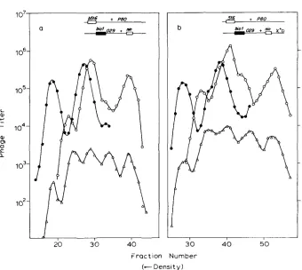 FIGURE 6.--Intergenic crosses detected on JC9387. a, replication was normal. Key for total phage as in Figure 3