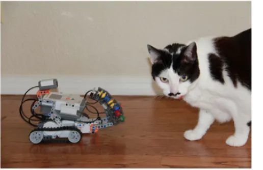Figure 12-8. A common household obstacle for your NXT robot