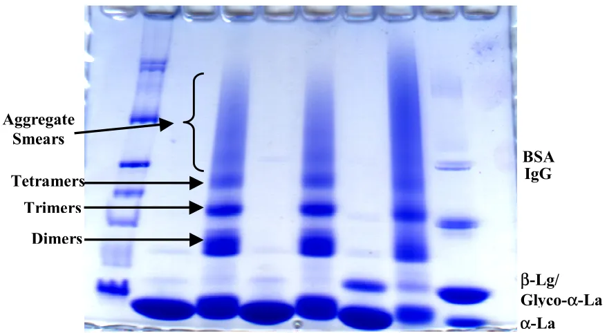 Figure 1B 