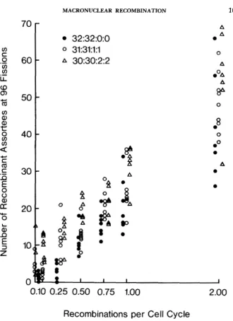 FIGURE 1 as a function of amitotic ratio and among the three starting ratios at a given simulation in which reported in Tables of starting ratio and RCF .-Number of recombinant assortees at 96 fissions for three different starting ratios RCF