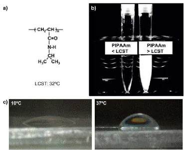 Figure 2.1: changes for PIPAAm in aqueous solution. (c) Temperature-dependent wettability changes  Structure and properties of thermoresponsive PIPAAm in solution and on surfaces