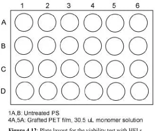 Figure 4.12: Plate layout for the viability test with HFLs.  