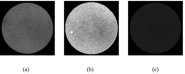 Figure 4 Electron emission microscope images (50µm field of view) of H terminated N-