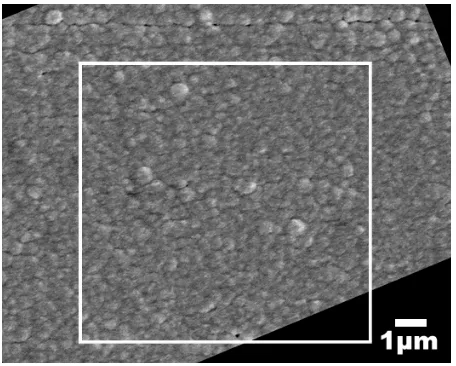Figure 9 Scanning electron micrograph of a nanocrystalline diamond film. 