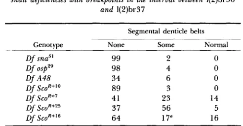 TABLE 8 Extent snail deficiencies with breakpoints in the interval between of cuticular dgerentiation of embryos homozygous for dgerent 1(2)br36 