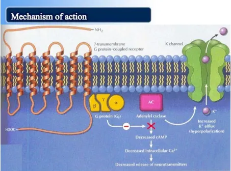 Figure 1: mechanism of action of analgesic drug 
