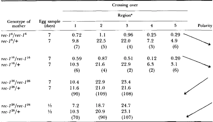 TABLE 8 Polarity associated with the three rec-1 homozygotes at 25' 