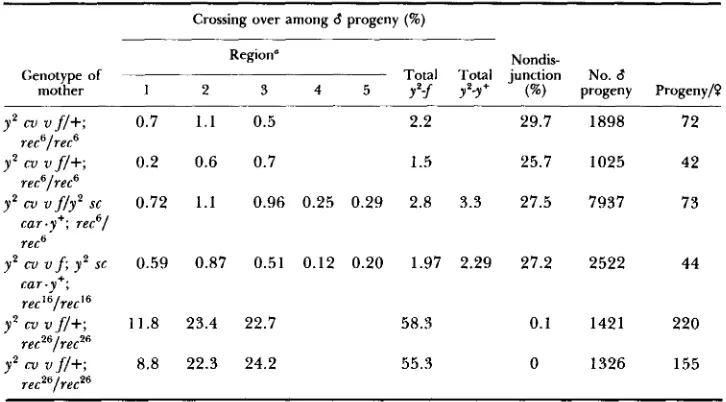 TABLE Recombination, nondisjunction and fecundity in 7-day sample or y2 sc car.y+females homozygous for rec6, recl6 or mated to cv f/+ 3 fz of progeny y2 XY, y B/Y 