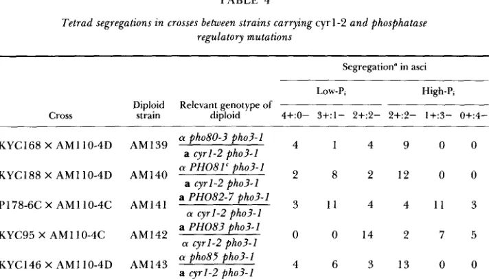 TABLE 4 Tetrad segregations in crosses between strains carrying cyr 1-2 and phosphatase regulatory mutations 