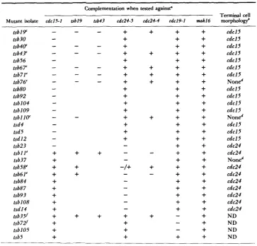 FIGURE 2.-Genetic I Table 2 (for the genes shown above the line) and those collected that flanking markers has not been determined cation)