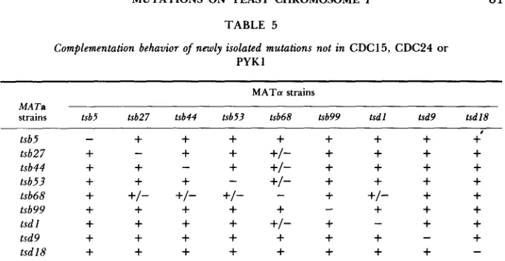 TABLE 6 