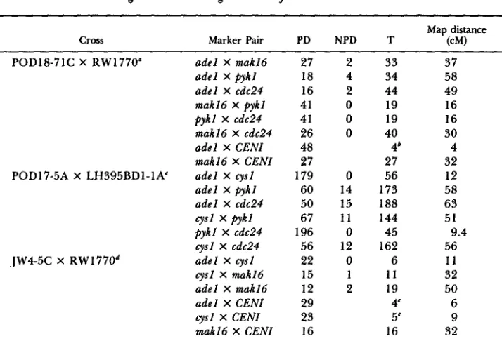 TABLE 2 Linkage data establishing the order of chromosome I markers 