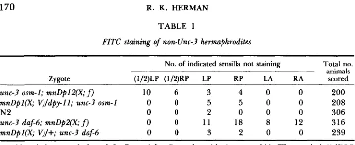 TABLE 1 FITC staining of non-Unc-3 hermaphrodites 