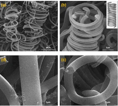 Figure 2. SEM images of the CMCs. The inset in (b) is a picture of a coiled spring. 