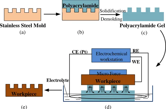 Figure 1.  The E-WETS principle and process. 