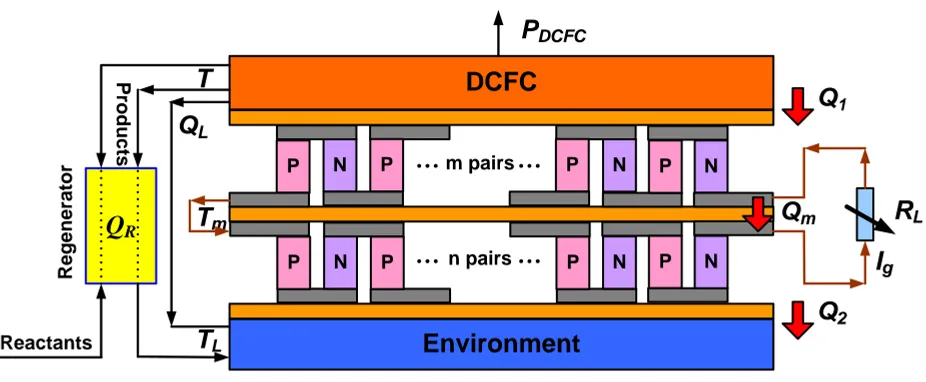 Figure 1. The schematic diagram of a cogeneration system consisting of a DCFC and a two-stage thermoelectric generator