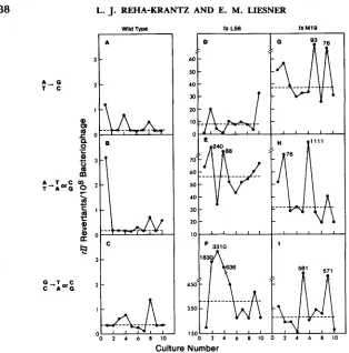 FIGURE 2.-Mutational P7 pair ues was G:C specificity of wild-type and DNA polymerase mutants