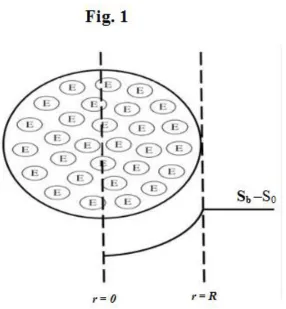 Figure 1. Schematic of the problem (substrate concentration profile in immobilized enzyme in a spherical porous matrix)  