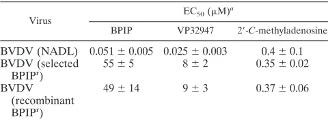 TABLE 3. Susceptibility of wild-type and BPIPr BVDV to BPIP,VP32947, and 2�-C-methyladenosine