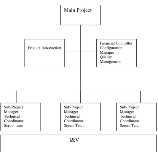 Figure 5 - Project Organization 