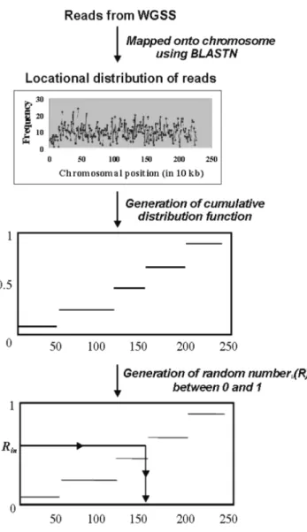 Fig. 1. Generation of biased-distributed data from known a