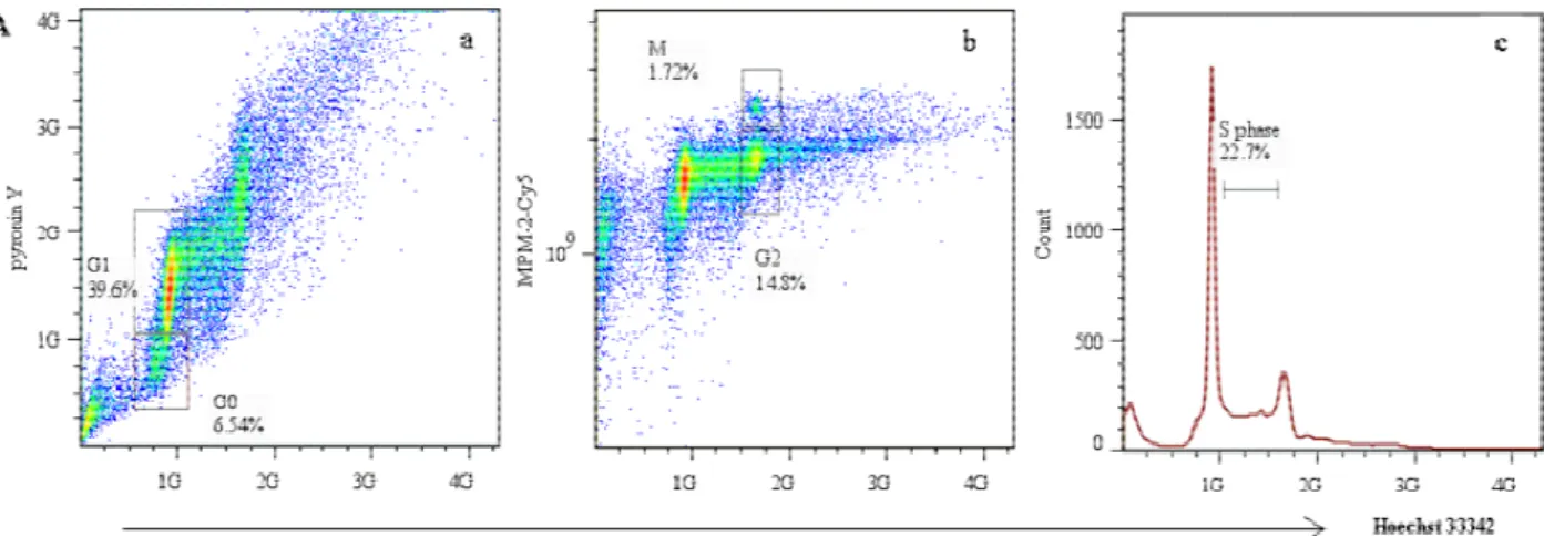 Figure 4. Accurate cell cycle distibution of crizotinib and taxol analyzed by the  multiparameter method