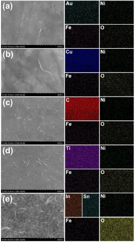 Figure 1. SEM images and EDX maps of electrodeposited NiFe hydroxides on different substrates including (a) Au, (b) Cu, (c) C, (d) Ti, and (e) ITO