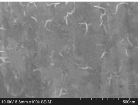 Figure 6.  SEM image of the NiFe hydroxides/Au electrode after the ADT. 
