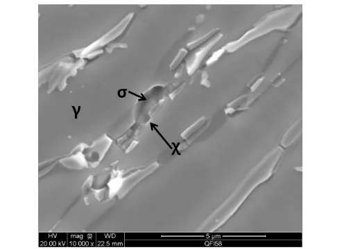 Figure 6. Scan Electron Micrographs(SEM) of Sigma and Chi phase in specimen aged at 850℃ in 120 min 